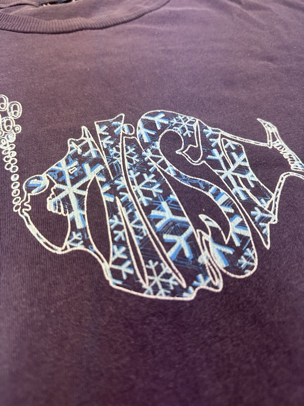 Vintage 90s Phish Dec 1999 Tour T Shirt XL Big Cypress Snowflake Jam Band Tee